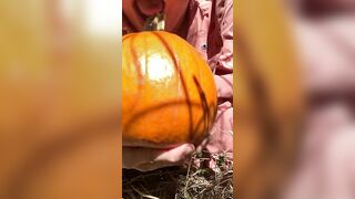 Pumpkin Halloween Bj