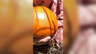 Pumpkin Halloween Bj