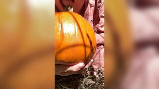 Pumpkin Halloween Bj