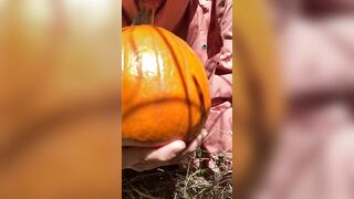 Pumpkin Halloween Bj