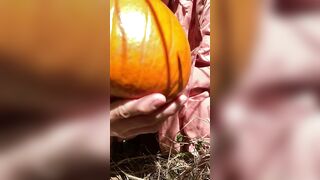 Pumpkin Halloween Bj