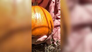 Pumpkin Halloween Bj