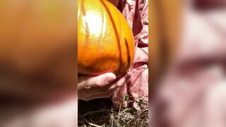 Pumpkin Halloween Bj