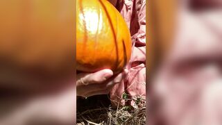 Pumpkin Halloween Bj