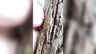 Fucking A Tree