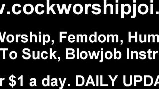 I have a whole bunch of vibrators to pounded you with