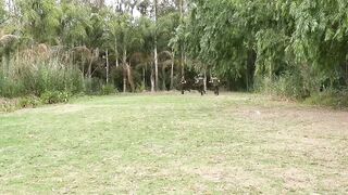 Horny cadets follow Sergeant Joris Leonard kinky and wild orders