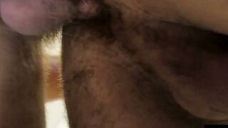HardcoreBears.com - Grizzly fat bear cock polished hard by his hairy and nasty cub