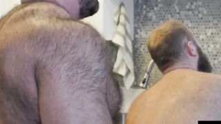 HardcoreBears.com - Grizzly fat bear cock polished hard by his hairy and nasty cub