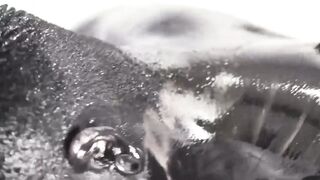 KawasakiYoshi.com - Asian Damian Dragon and Yoshi Kawasaki breed raw splattering oily