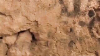 BoyDesire.com - Twink's outdoor oral pleasuring and hardcore fucking