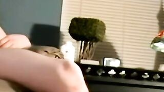 Several amateurs are fucking and sucking each others cocks