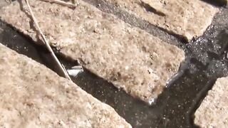 NipponPissTV.com - Japanese babes filmed peeing all around town in public