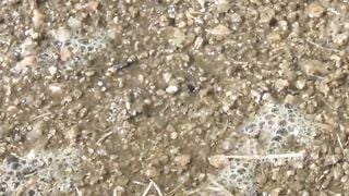 NipponPissTV.com - Japanese babes filmed peeing all around town in public