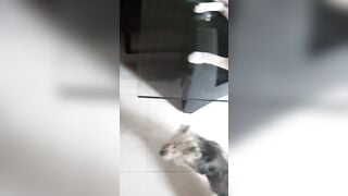 spying on my distracted step daughter