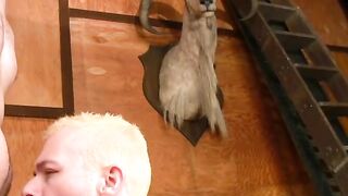 Anal grinding and cum shooting by blonde JT frost and horny Jacob