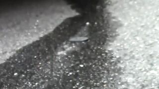 NipponPissTV.com - Japanese cuties take panties off to pee in hidden places outdoors