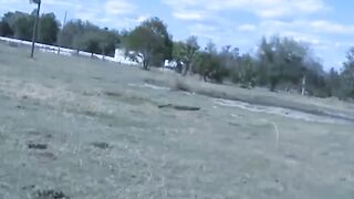 MuscleJockBound.com - Outdoor domination of a submissive jock by a wild and muscular