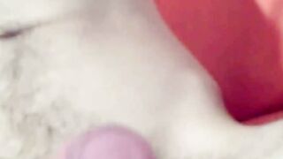 Twink Temptation Sachas Secret Desire