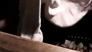 ToesXXX.com - Butt buddies' dirty feet worship in the kitchen