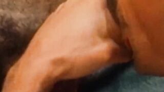 RetroDudes.com - Old school homo breeds intensely after sensual blowjob