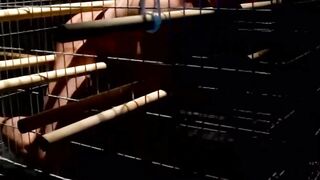 MuscleJockBound.com - Stunning blindfolded slave caught and dominated with ropes and