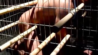MuscleJockBound.com - Stunning blindfolded slave caught and dominated with ropes and