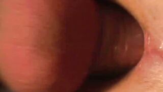 Igniting Passion A Taste of Temptation