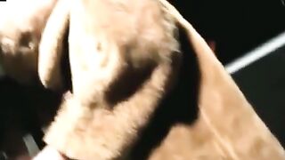 Sexy Kyle received cum facial after sucking the long cock of Plushie Schwartz on the