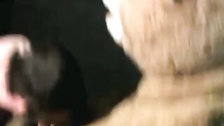Sexy Kyle received cum facial after sucking the long cock of Plushie Schwartz on the