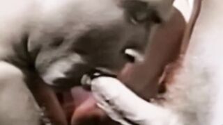 RetroDudes.com - Hung butt buddy touches himself before bare fucking cute guy