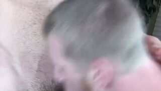 Cock Perfection A Lewd Delight