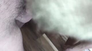 Cock Perfection A Lewd Delight