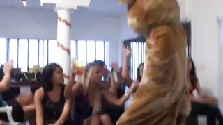 Voyeur ladies watch clothed chicks giving strippers blowjobs