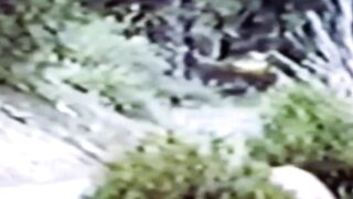 RetroDudes.com - Retro bandits bare fuck outdoors and spray big load