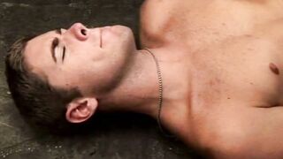 Driven to Desire