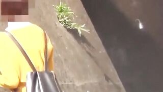 NipponPissTV.com - Japanese ladies taped pissing in public bathroom openly
