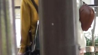 NipponPissTV.com - Japanese ladies taped pissing in public bathroom openly