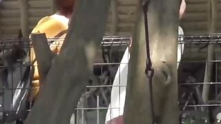 NipponPissTV.com - Japanese ladies taped pissing in public bathroom openly