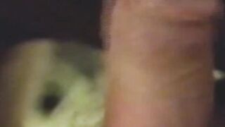 RetroDudes.com - Retro cock sucker blows friends and takes dick in his ass