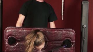 Titian Takedown The Succulent Submission of Samantha Siren