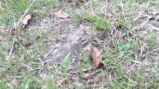 NipponPissTV.com - Japanese teenie soaking herself up with warm pee outdoors