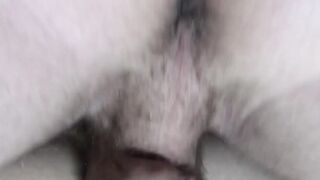 Athletic studs pounding and breeding in all positions