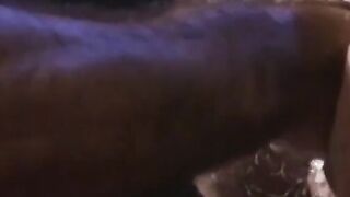 CentralFisting.com - Marco's doggy style fisting and anal fuck