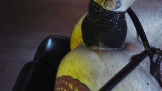 Rough dom Hugh Hunter continues to punish his bottom Teddy Bryce