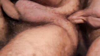 Hairy bears Brian Bear and Carlos Verga FUCKS each other PASSIONATELY