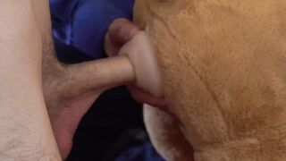 Teaching bareback tricks with a new toy