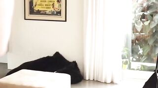 Bad bitch Rachel Madori gets a rough fucking punishment