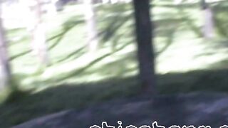 Public Picnic Table Handjob