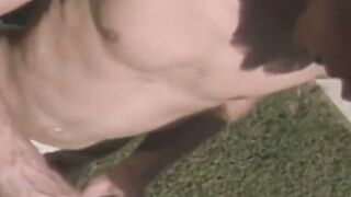 RetroDudes.com - Young gays enjoy bare banging and spitroast action